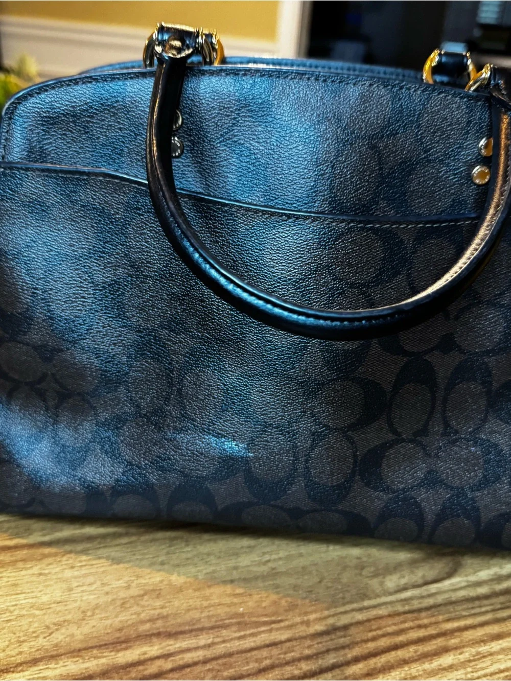 Coach tote signature